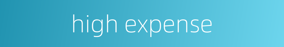 high expense的同义词