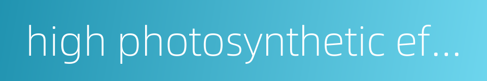 high photosynthetic efficiency的同义词