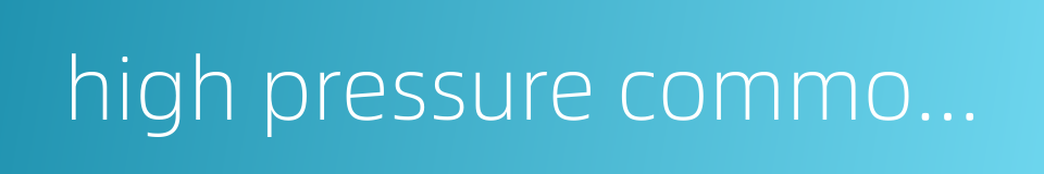 high pressure common rail的同义词