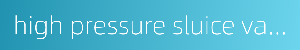 high pressure sluice valve的同义词