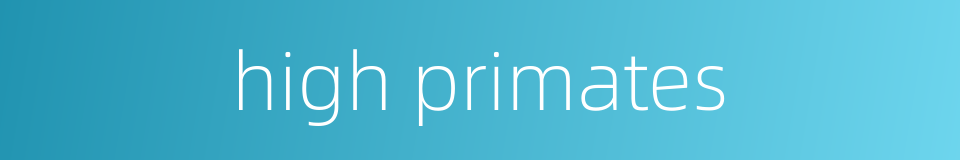 high primates的同义词