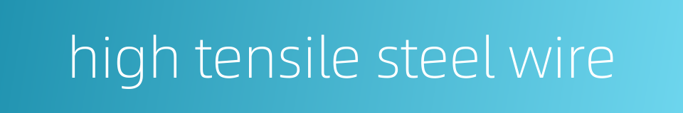 high tensile steel wire的同义词