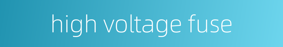 high voltage fuse的同义词
