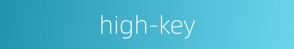 high-key的同义词