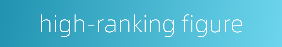 high-ranking figure的同义词