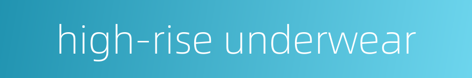 high-rise underwear的同义词