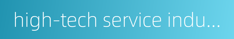 high-tech service industry的同义词