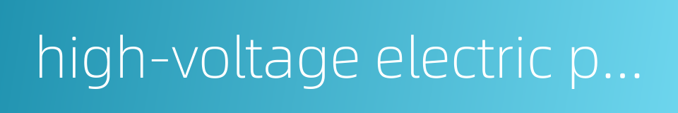 high-voltage electric power system的同义词