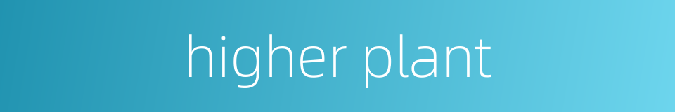 higher plant的同义词