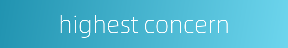 highest concern的同义词