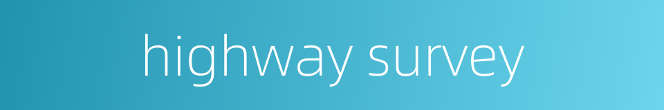 highway survey的同义词