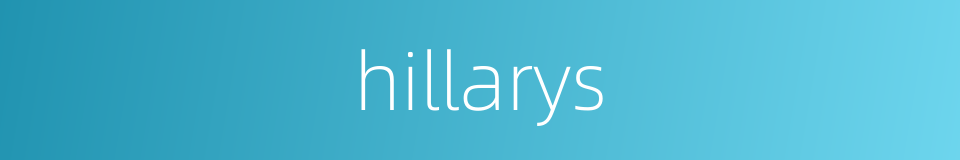 hillarys的同义词