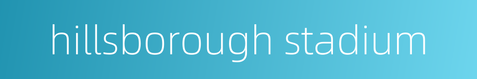 hillsborough stadium的同义词