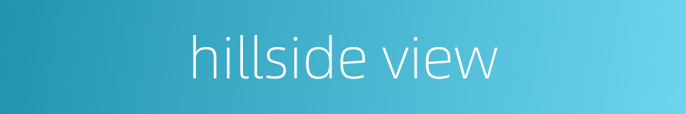 hillside view的同义词