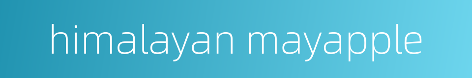 himalayan mayapple的同义词