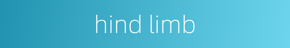 hind limb的同义词