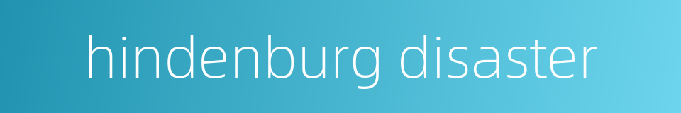 hindenburg disaster的同义词