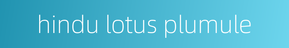 hindu lotus plumule的同义词