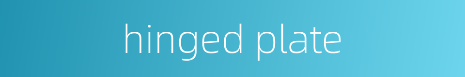 hinged plate的同义词