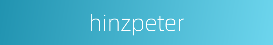 hinzpeter的同义词