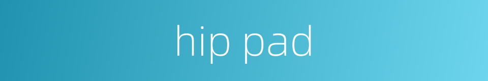 hip pad的同义词