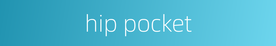 hip pocket的同义词