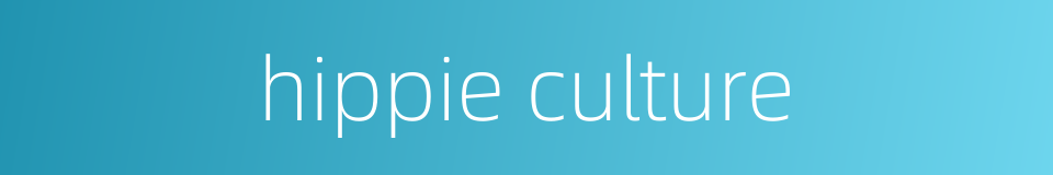 hippie culture的同义词