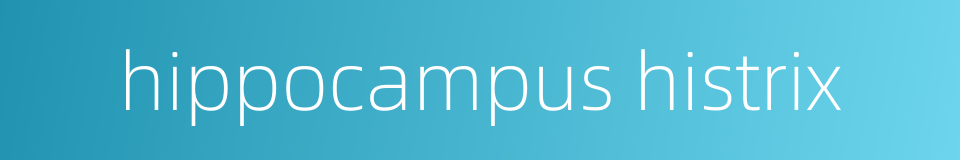 hippocampus histrix的同义词