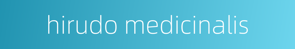 hirudo medicinalis的同义词