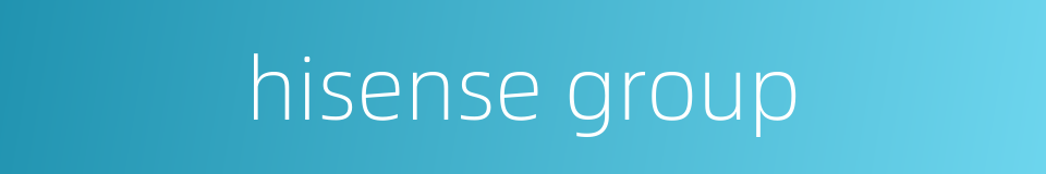 hisense group的同义词