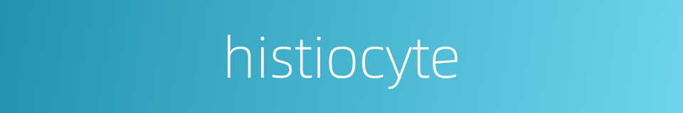 histiocyte的同义词