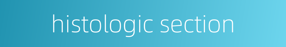 histologic section的同义词