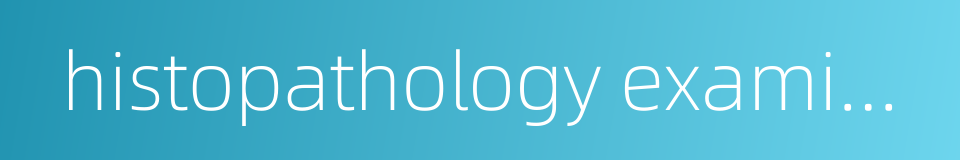 histopathology examination的同义词