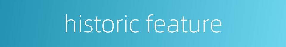 historic feature的同义词