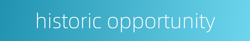 historic opportunity的同义词