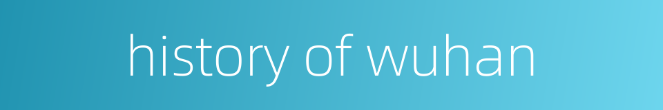 history of wuhan的同义词