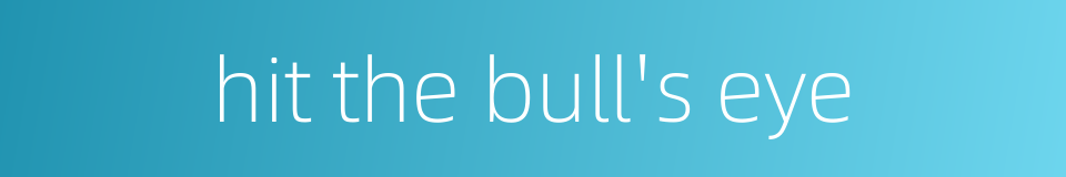 hit the bull's eye的同义词