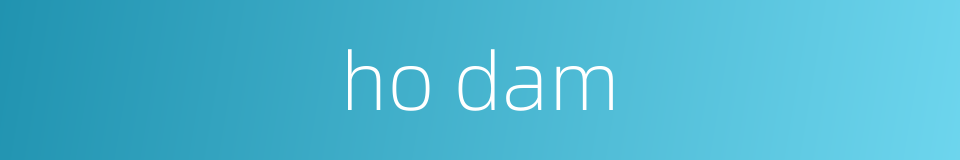 ho dam的同义词