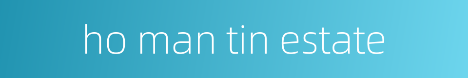 ho man tin estate的同义词