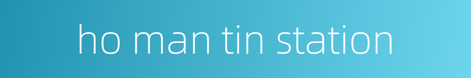 ho man tin station的同义词