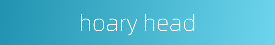 hoary head的同义词