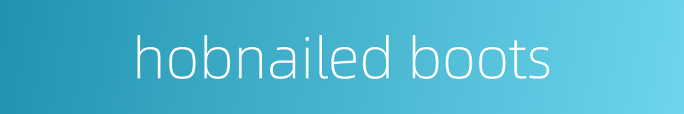 hobnailed boots的同义词
