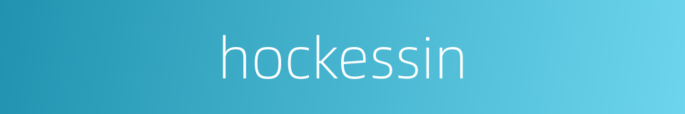 hockessin的同义词