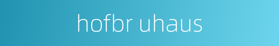 hofbr uhaus的同义词