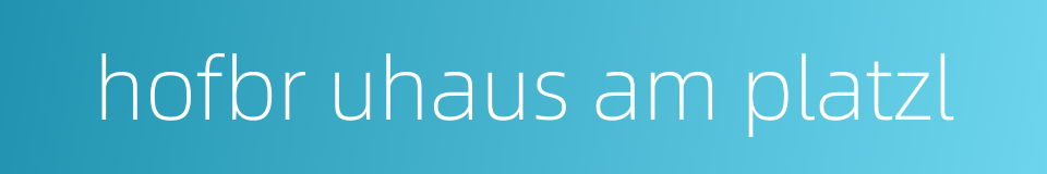 hofbr uhaus am platzl的同义词