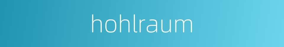 hohlraum的同义词