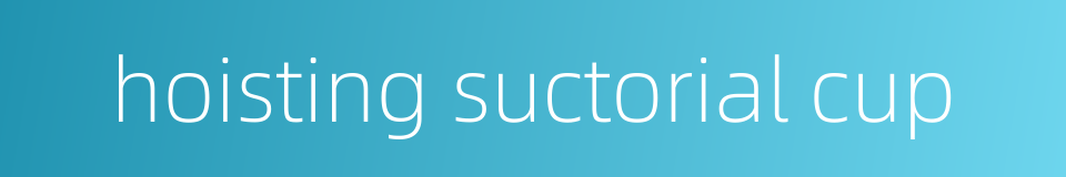 hoisting suctorial cup的同义词