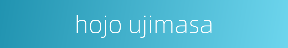 hojo ujimasa的同义词