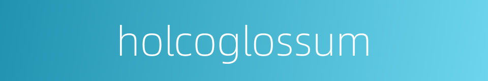 holcoglossum的同义词