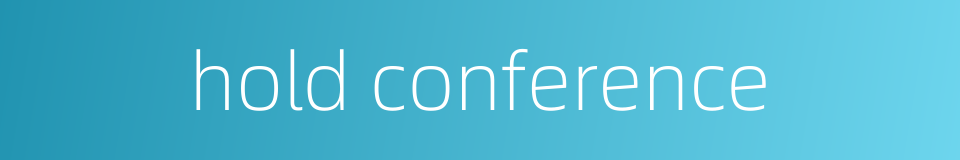 hold conference的同义词